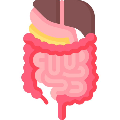 Gastrointestinal tract Special Flat icon