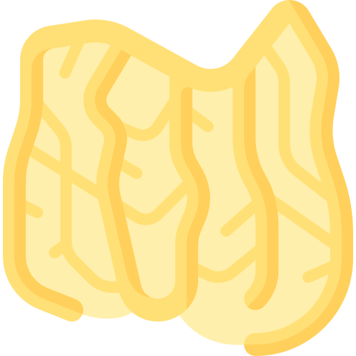Omentum free icon Omentum free icon