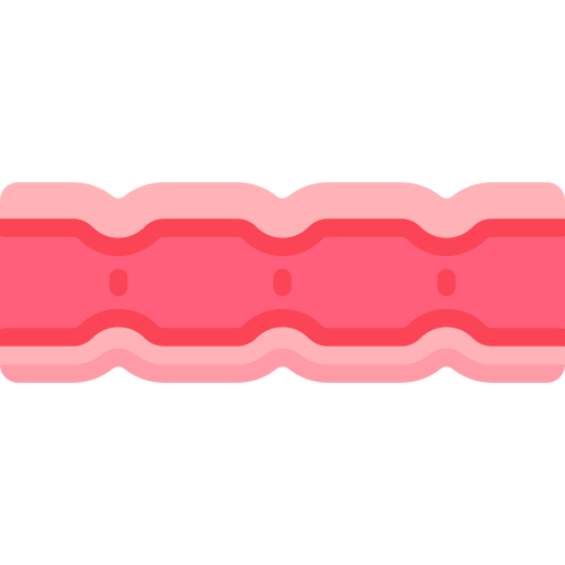 Large Intestine free icon
