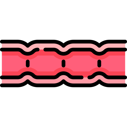 Large Intestine free icon