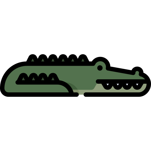 Crocodile Special Lineal color icon