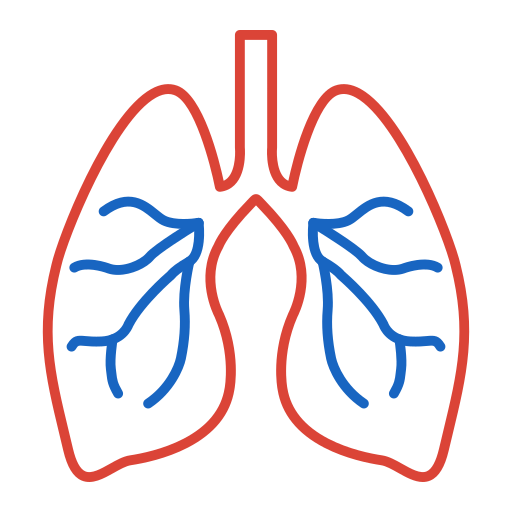 Lungs Generic color outline icon