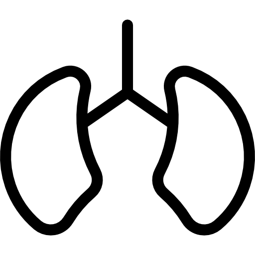 Lungs icon