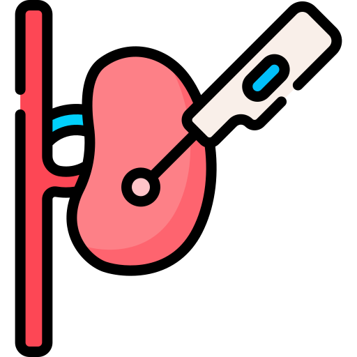 Kidney free icon