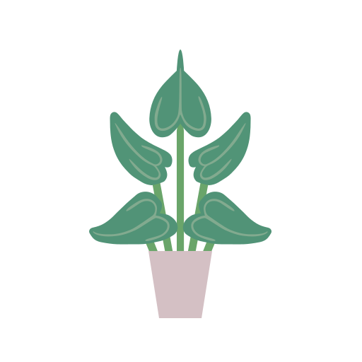 alocasia cucullata icono gratis