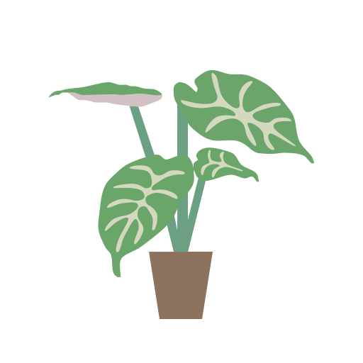 alocasia icono gratis