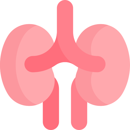 riñones icono gratis