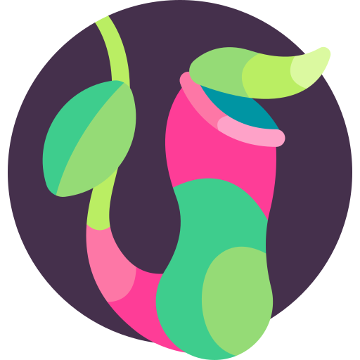 nepenthes icono gratis