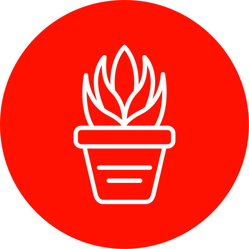 aloe vera kostenlos Icon aloe vera kostenlos Icon