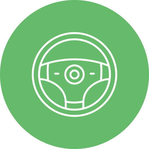 Steering Wheel Generic Color Fill Icon