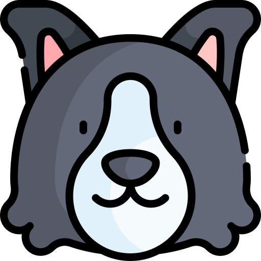 collie de frontera icono gratis