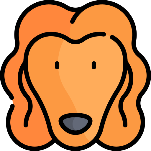 sabueso afgano icono gratis