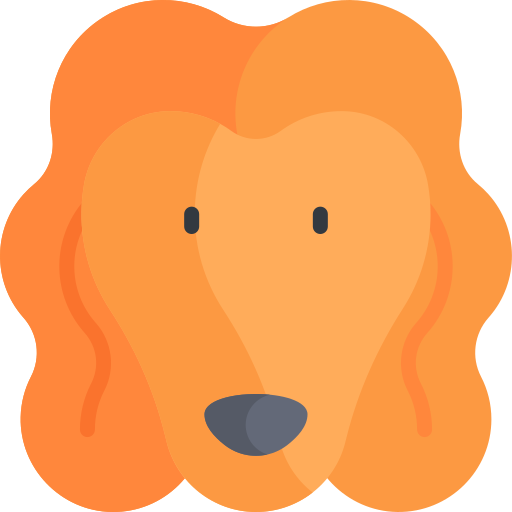 sabueso afgano icono gratis