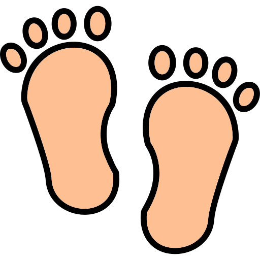 Footprint Generic color lineal-color icon