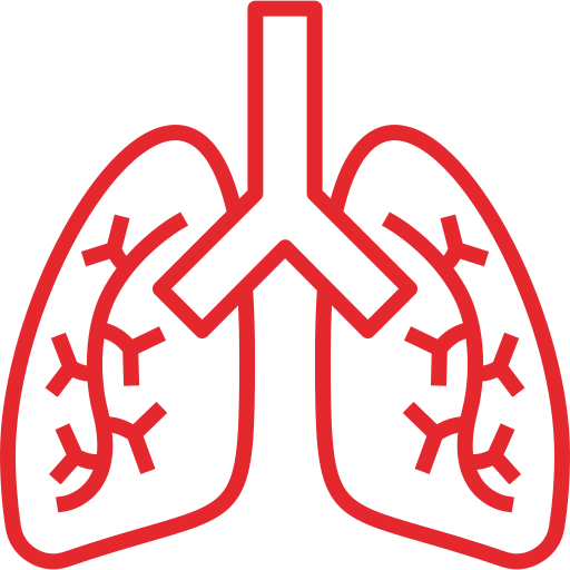 Lungs - Free medical icons