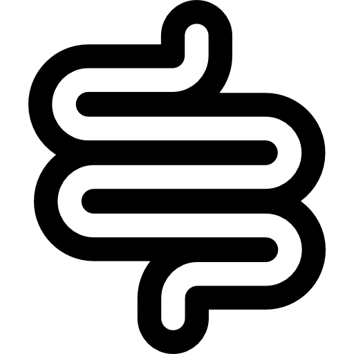 Free Icon | Intestine