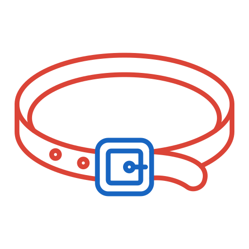 Belt Generic color outline icon