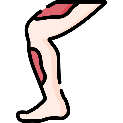 Leg - free icon