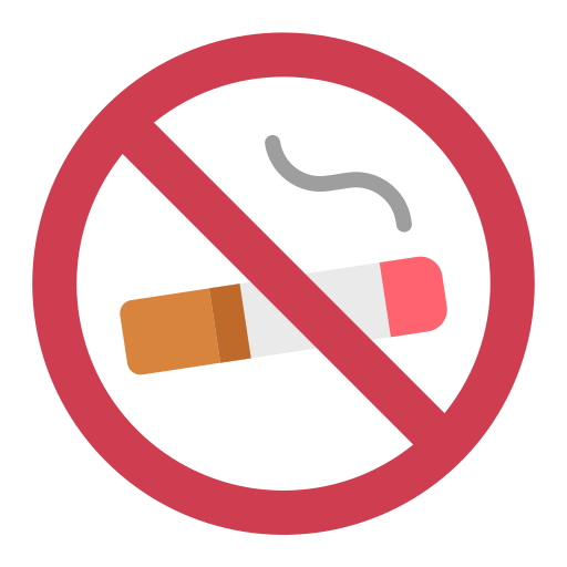 No smoking Good Ware Flat icon