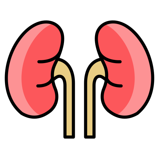 Kidneys - Free healthcare and medical icons