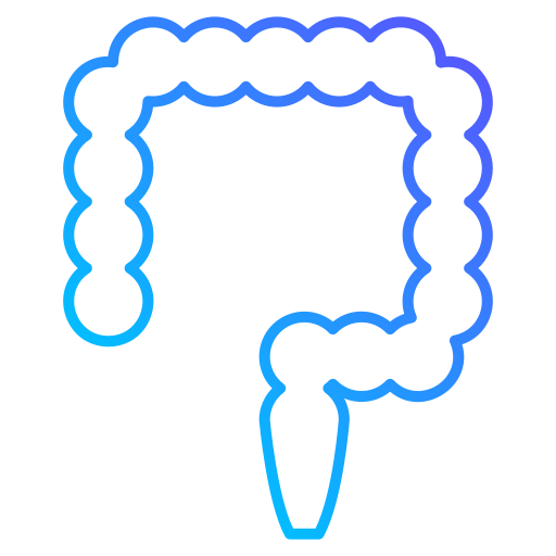 Colon Generic gradient outline icon