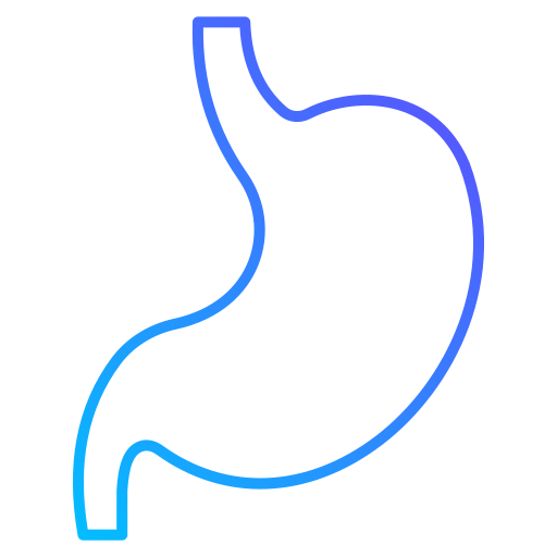 estómago icono gratis