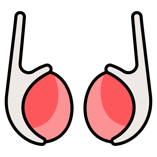 les articulations Icône gratuit les articulations Icône gratuit