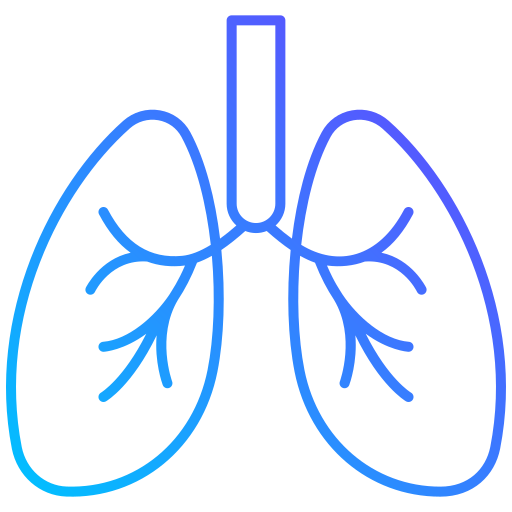 Lungs Generic gradient outline icon