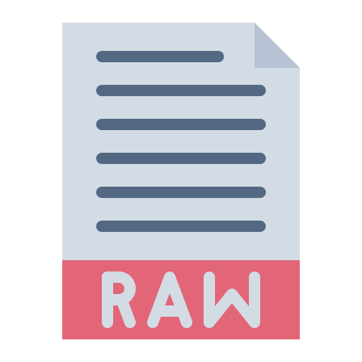 archivo raw icono gratis