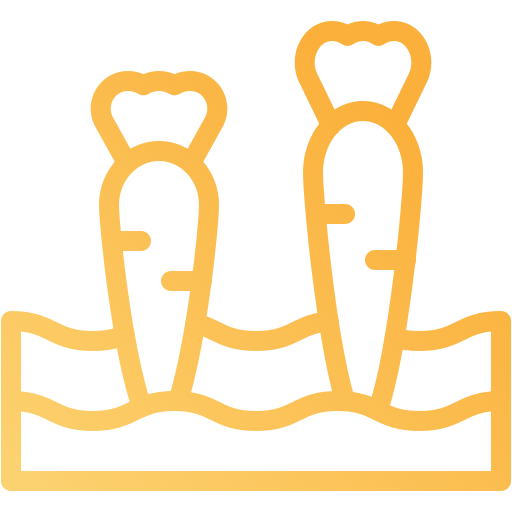 Морковь бесплатно иконка