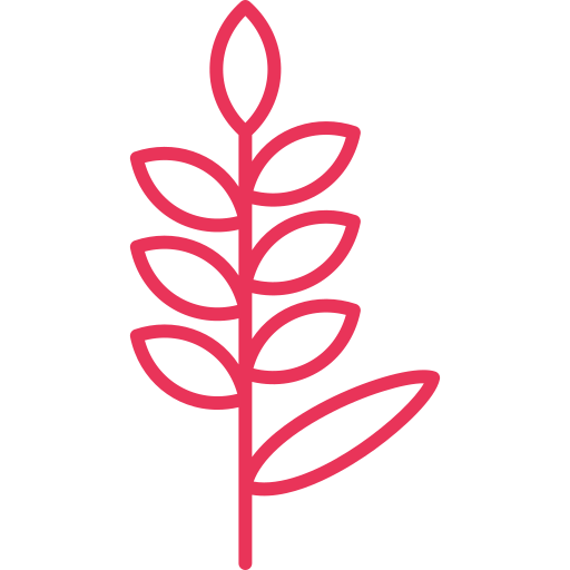 lavanda icono gratis