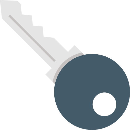 Key Generic color fill icon