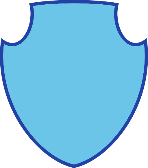 Shield Generic color lineal-color icon