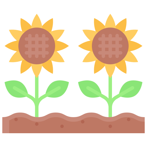 sonnenblume kostenlos Icon