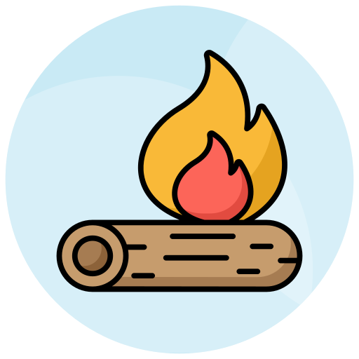 Campfire Generic Color Lineal Color Icon