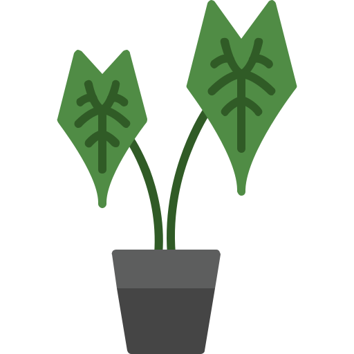 alocasia icono gratis