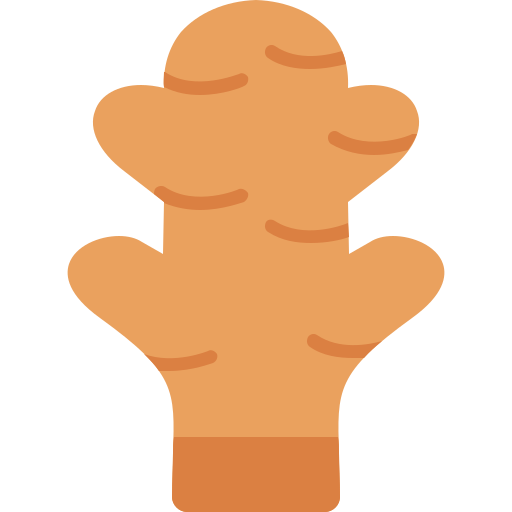 생강 무료 아이콘