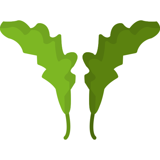 Руккола бесплатно иконка