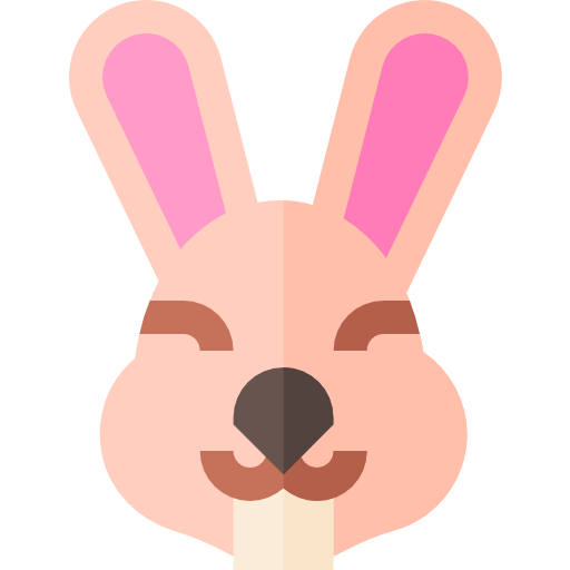 Rabbit Basic Straight Flat icon