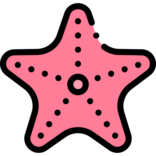 Starfish Detailed Rounded Lineal color icon