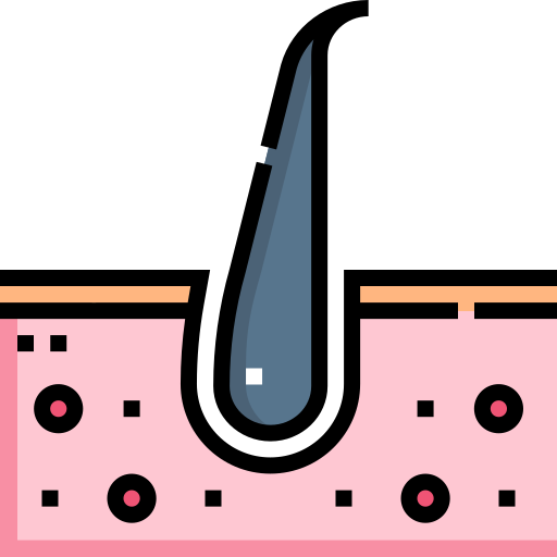 Follicle Detailed Straight Lineal color icon