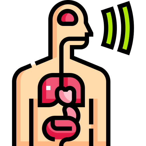 Interoception provides information about our body and emotional states.