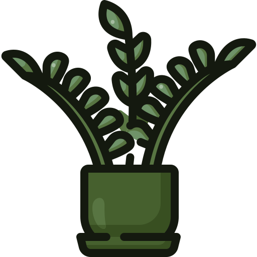 planta zz grátis ícone planta zz grátis ícone