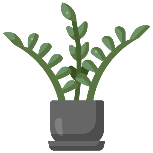 planta zz grátis ícone planta zz grátis ícone