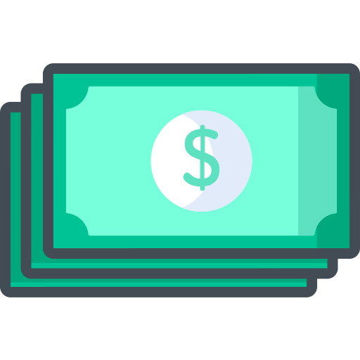 Dollar Special Bicolor Icon