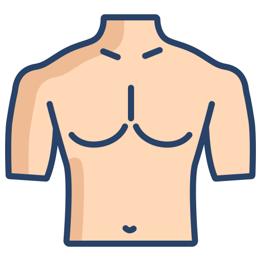 Abs, bady, body, chest, fitness, muscles, part icon - Download on Iconfinder