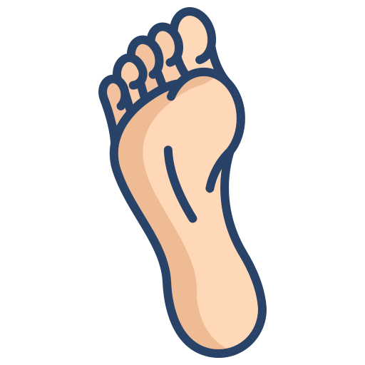 Feet Icongeek26 Linear Colour icon