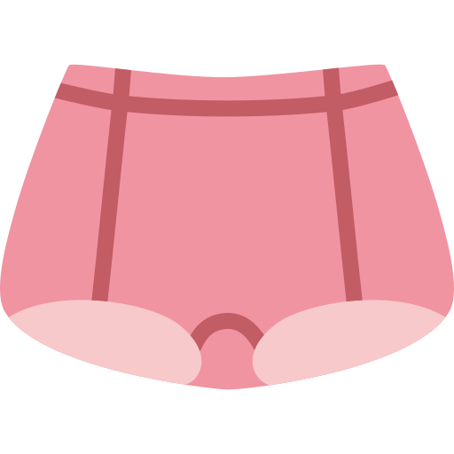 Panties Generic color fill icon