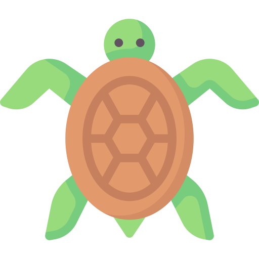 Turtle Special Flat icon