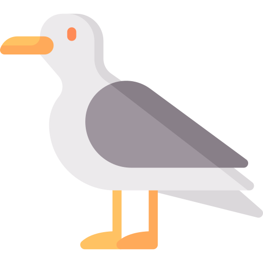 Seagull - Free animals icons